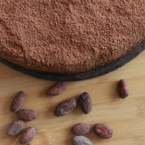 bolo de cacau chocolate vegan